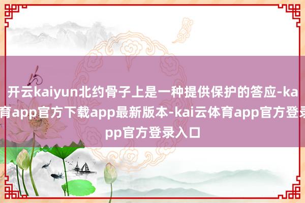 开云kaiyun北约骨子上是一种提供保护的答应-kai云体育app官方下载app最新版本-kai云体育app官方登录入口